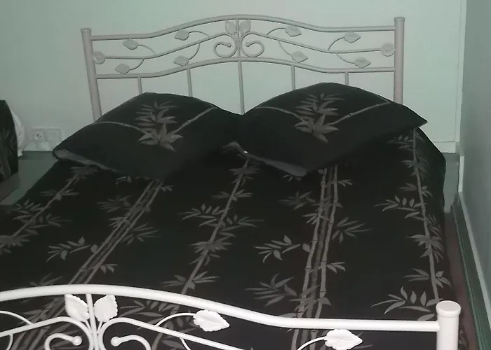 Le Deltaplane Hotel 2*