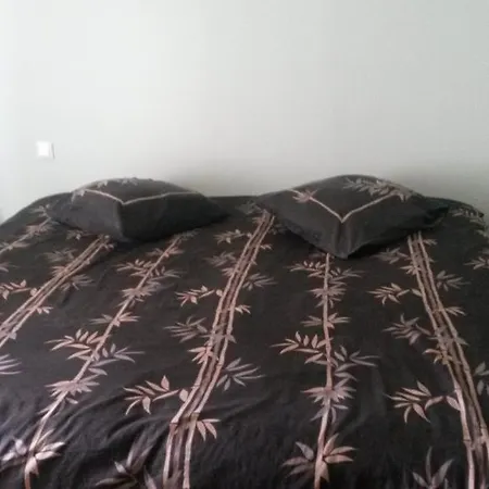 מלון Le Deltaplane